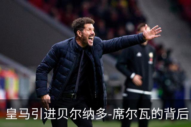 皇马引进贝尔纳多-席尔瓦的背后，替补无缘机会让人疑惑